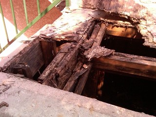 Moldy Wall - Home Inspections | Oakland & Walnut Creek, CA